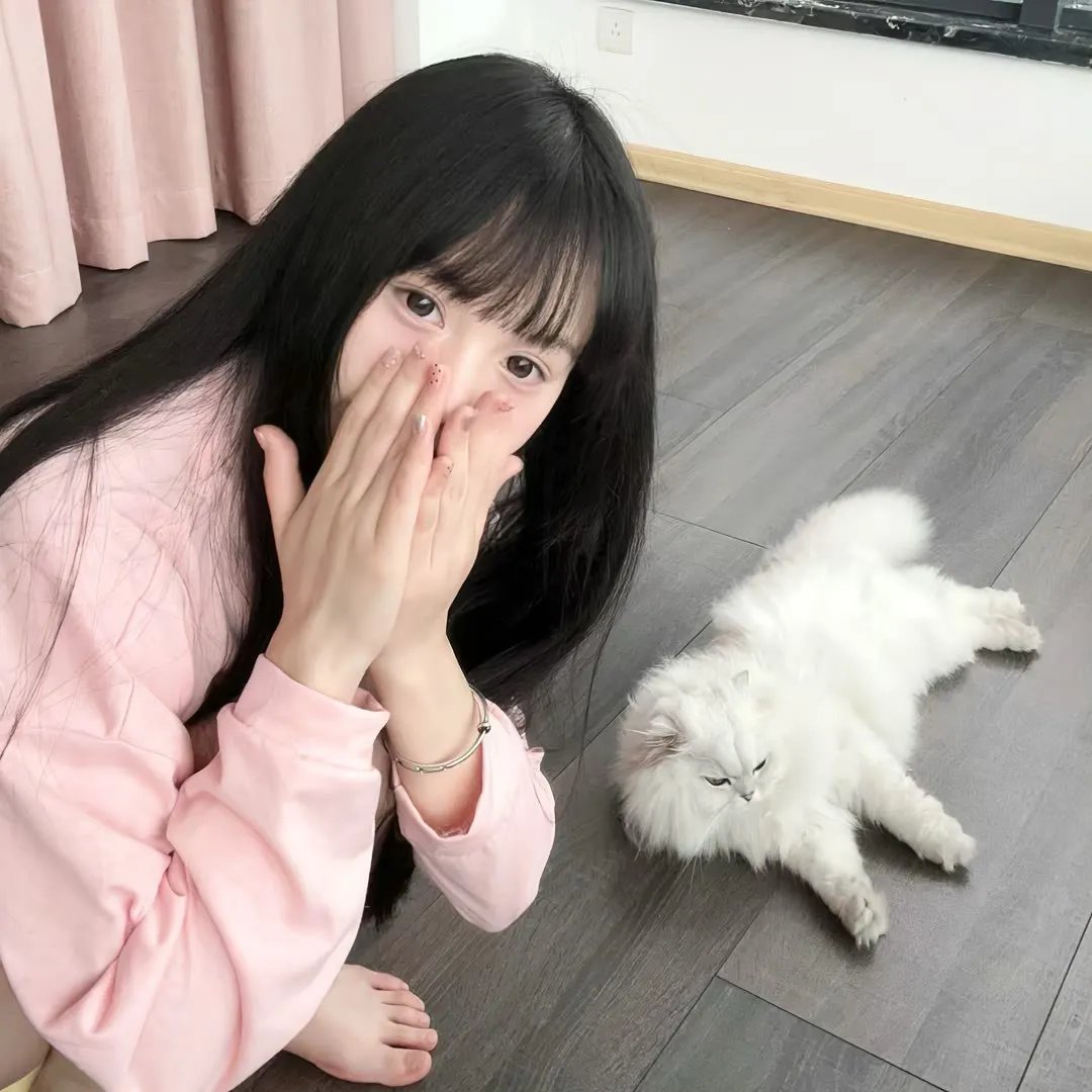泡芙小姐第七季