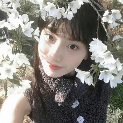 高地人：复仇之旅